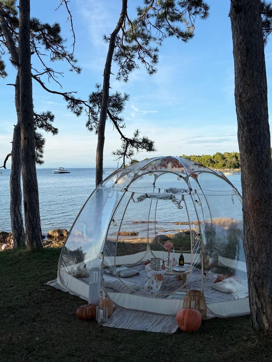 Transparente Iglu-Kuppel zwischen hohen Kiefern an felsiger Küste, dahinter Boote auf dem Meer
