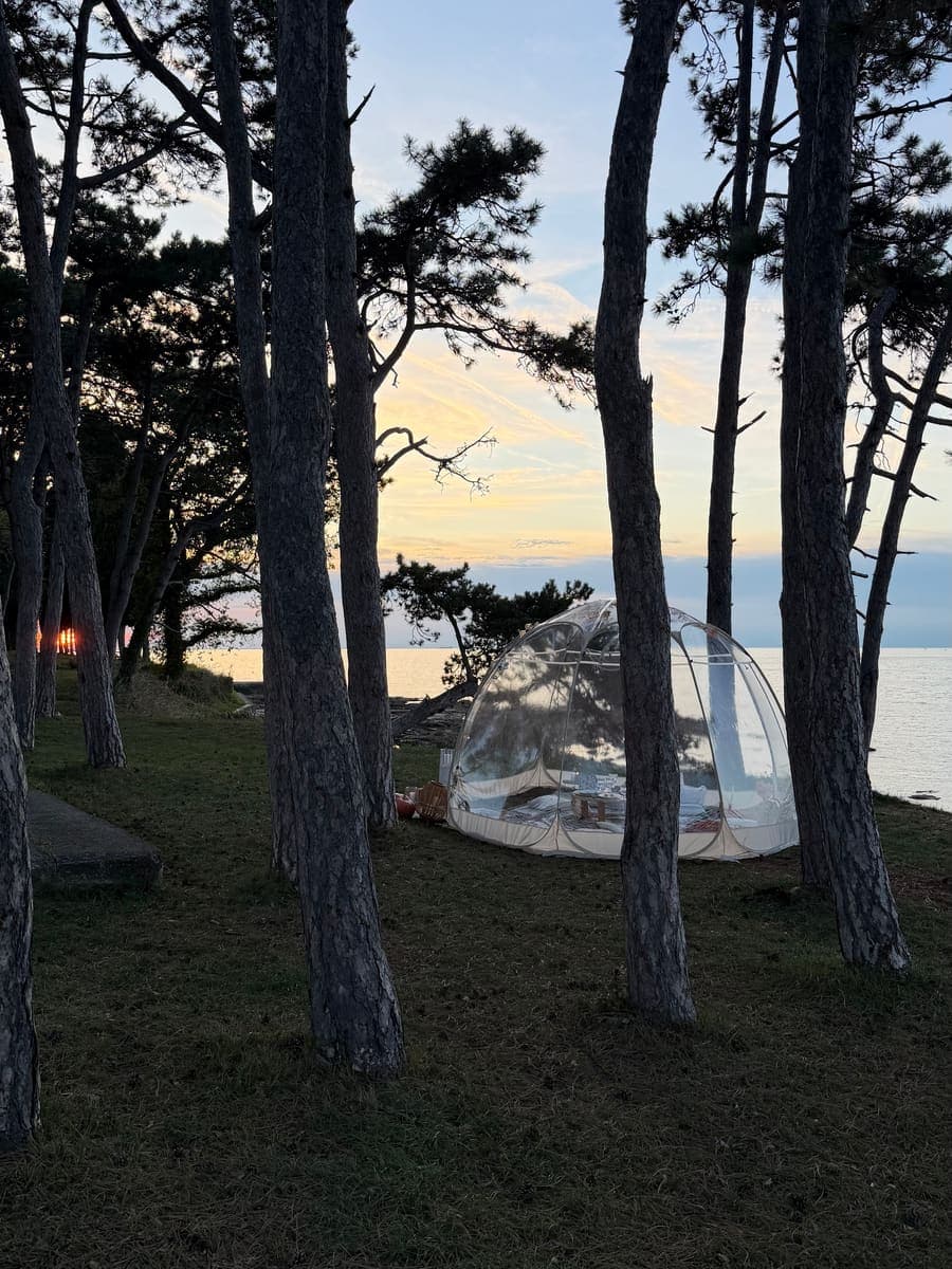 Transparente Iglu-Kuppel zwischen Kiefernstämmen in der Dämmerung, dahinter Meer und Abendhimmel